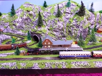 Modellbahn, Modelleisenbahn