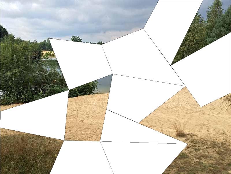 Bild